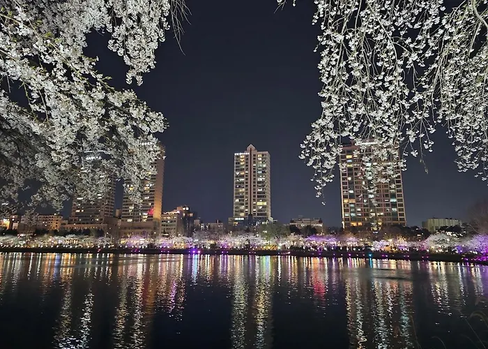 Skynest, Seoul, Luxury Rooftop Oasis, 3br, 3ba, Max 8 Guests, Free Pkg, Jamsil, Lotte World Tower View, 3 Is Available Only For Groups Of 7 Guests * Seoul
